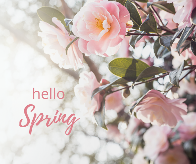 Home | Nancy Carey Johnson